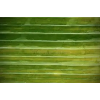 Green Paper Banana Leaf